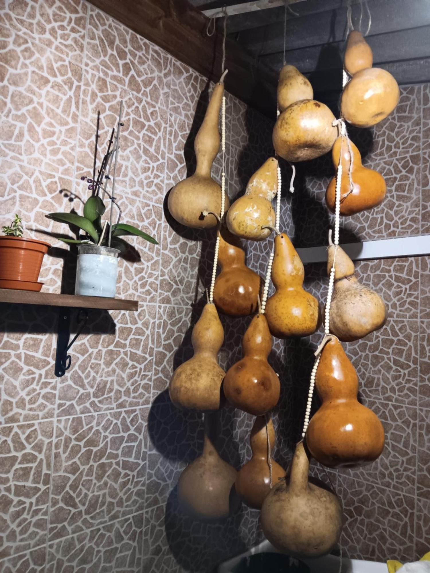 Вилла Casa Da Rosarinha Agua de Alto Экстерьер фото