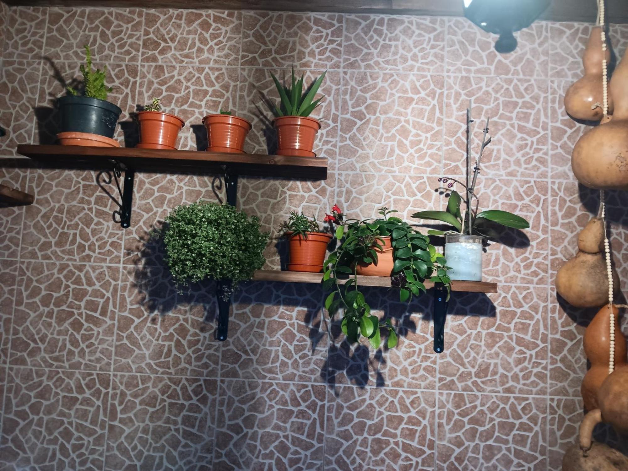 Вилла Casa Da Rosarinha Agua de Alto Экстерьер фото